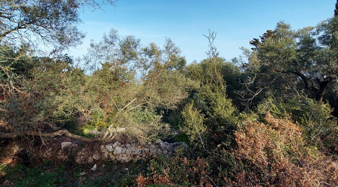 20240401_085924 - Αντιγραφή