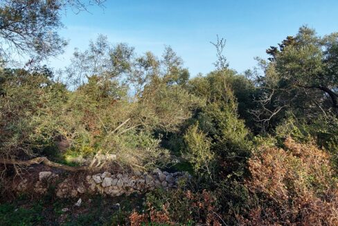 20240401_085924 - Αντιγραφή