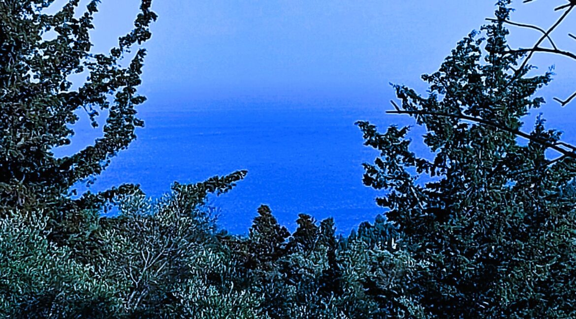 20240401_090109 - Αντιγραφή
