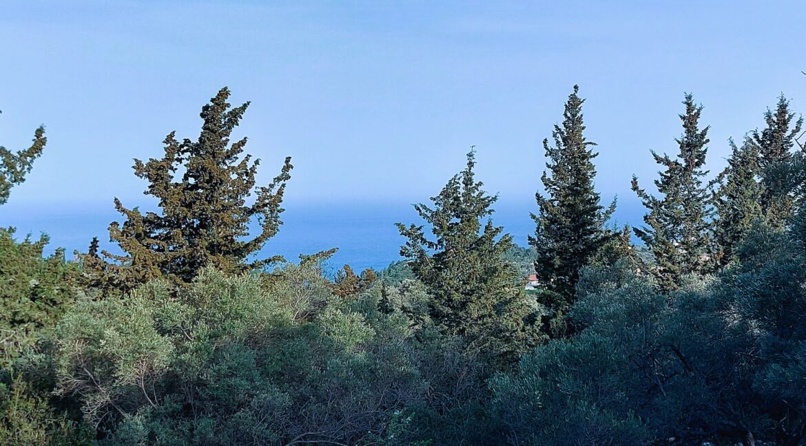 20240401_090135 - Αντιγραφή