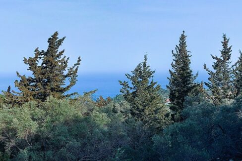 20240401_090135 - Αντιγραφή