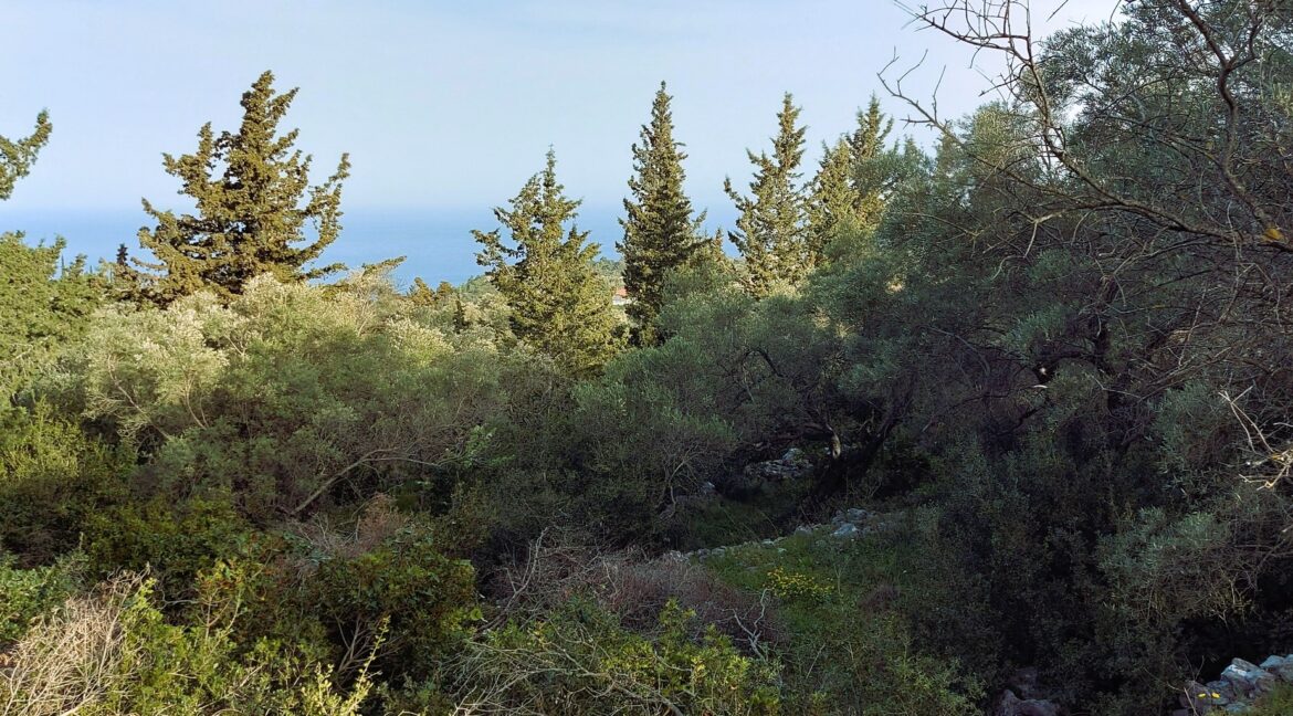 20240401_090143 - Αντιγραφή