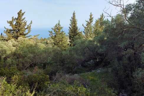 20240401_090143 - Αντιγραφή
