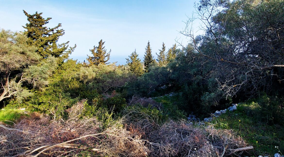 20240401_090147 - Αντιγραφή