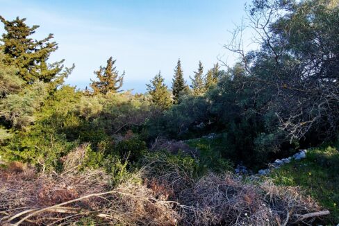 20240401_090147 - Αντιγραφή