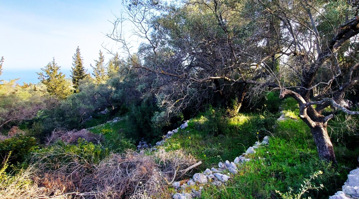 20240401_090149 - Αντιγραφή