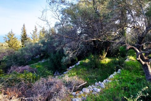 20240401_090149 - Αντιγραφή
