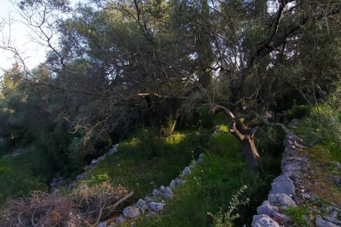 20240401_090219 - Αντιγραφή