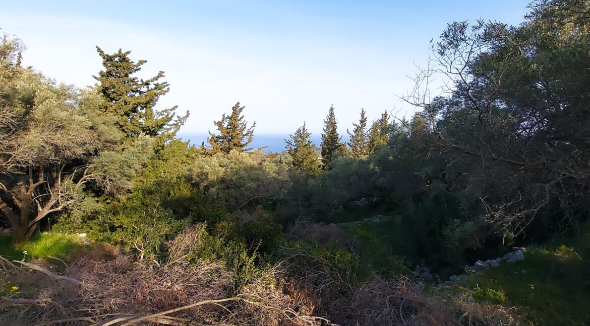 20240401_090228 - Αντιγραφή