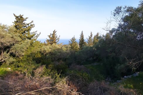 20240401_090228 - Αντιγραφή