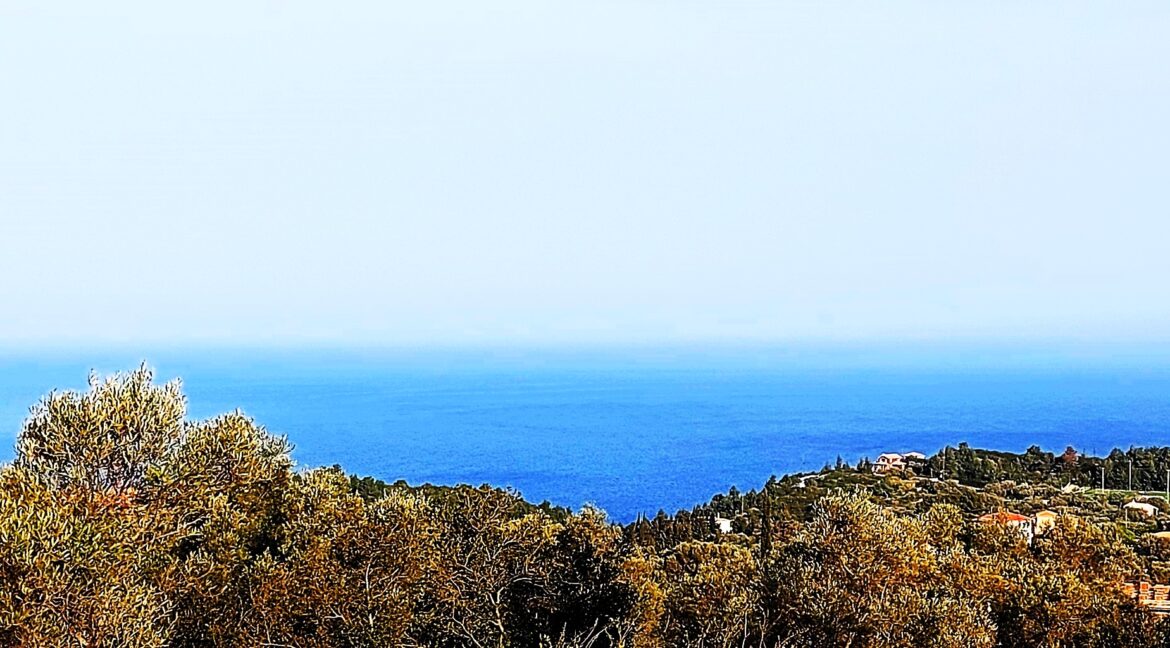20240401_091256 - Αντιγραφή