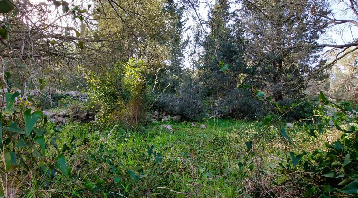 20240401_093020 - Αντιγραφή