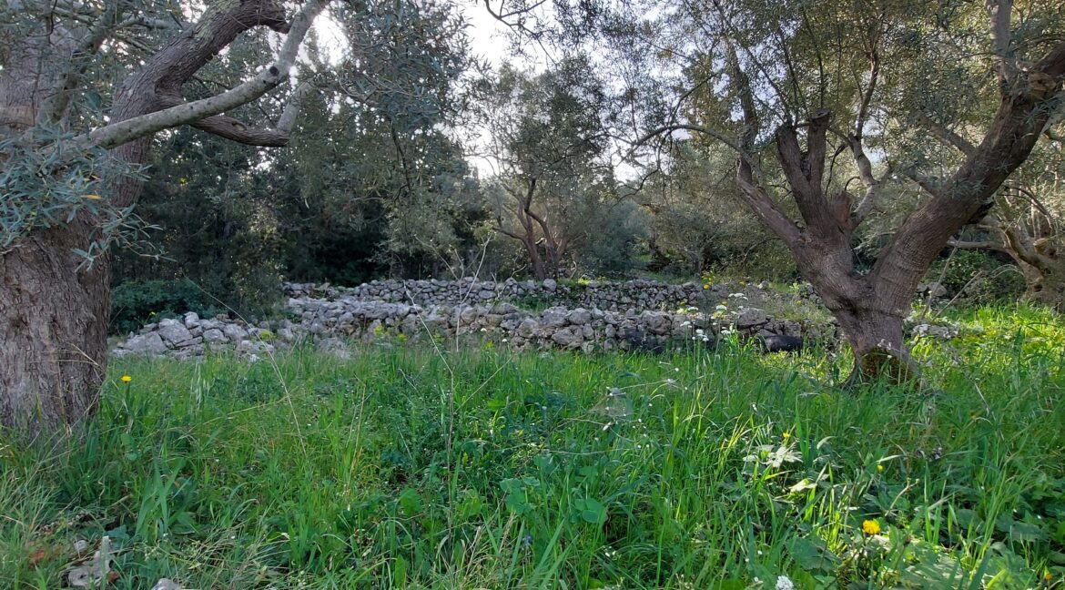 20240401_093054 - Αντιγραφή