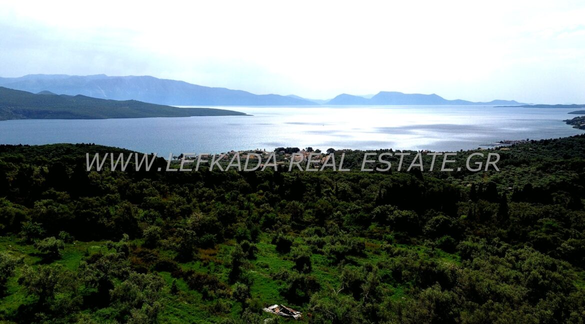 DCIM100MEDIADJI_0636.JPG