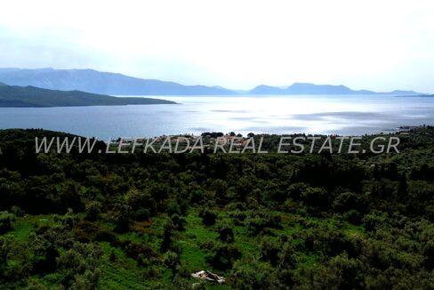DCIM100MEDIADJI_0636.JPG