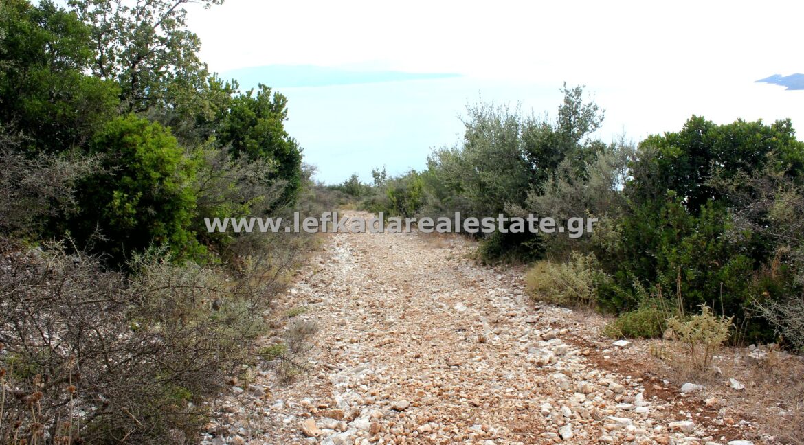 lefkadarealestate22