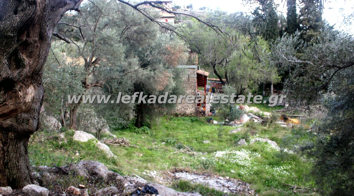 lefkadarealestate11