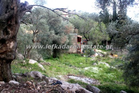 lefkadarealestate11
