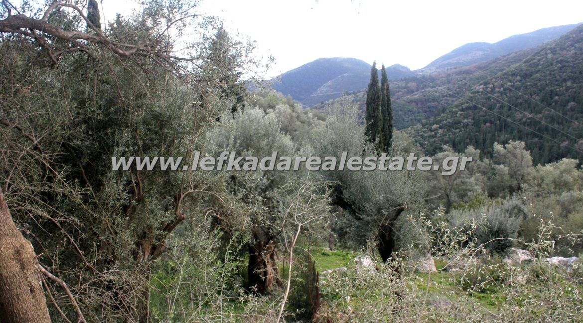 lefkadarealestate14