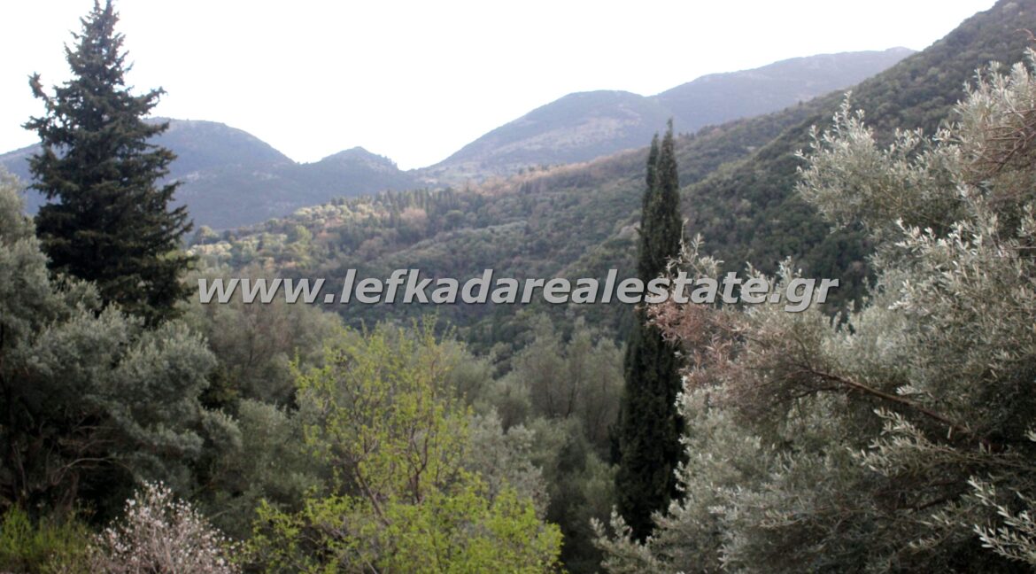 lefkadarealestate16