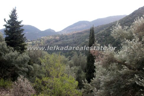 lefkadarealestate16