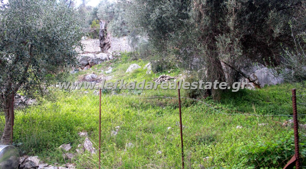 lefkadarealestate21