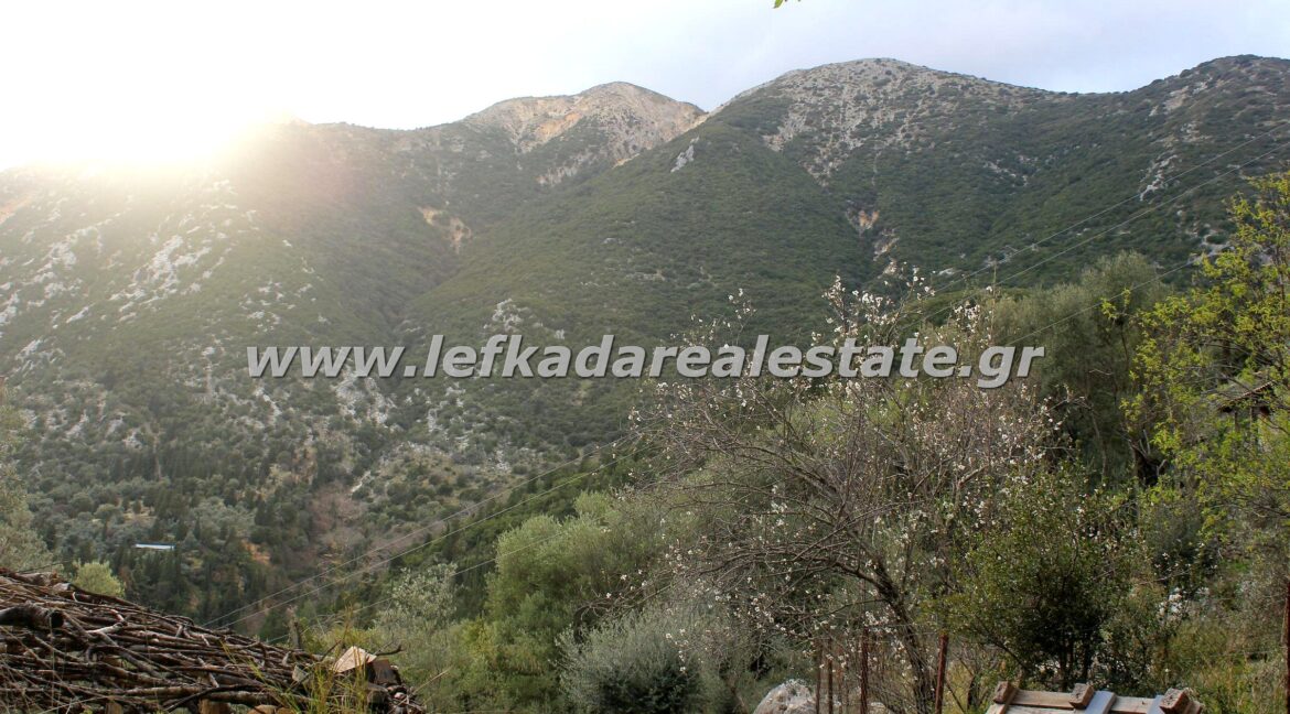 lefkadarealestate22