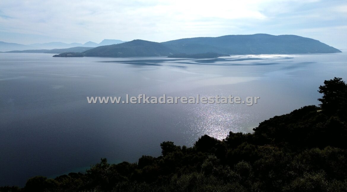DCIM101MEDIADJI_0432.JPG
