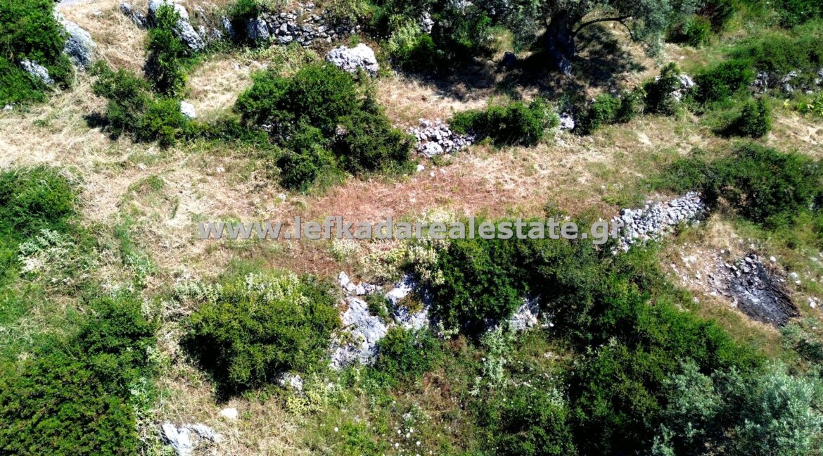 DCIM100MEDIADJI_0437.JPG
