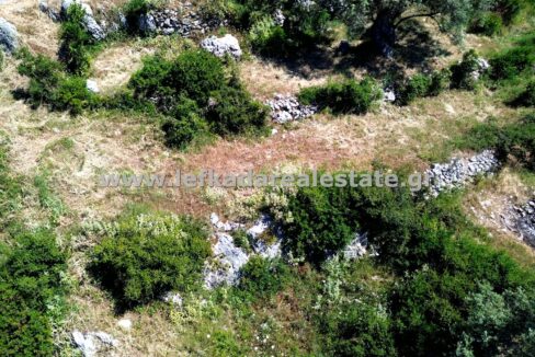 DCIM100MEDIADJI_0437.JPG