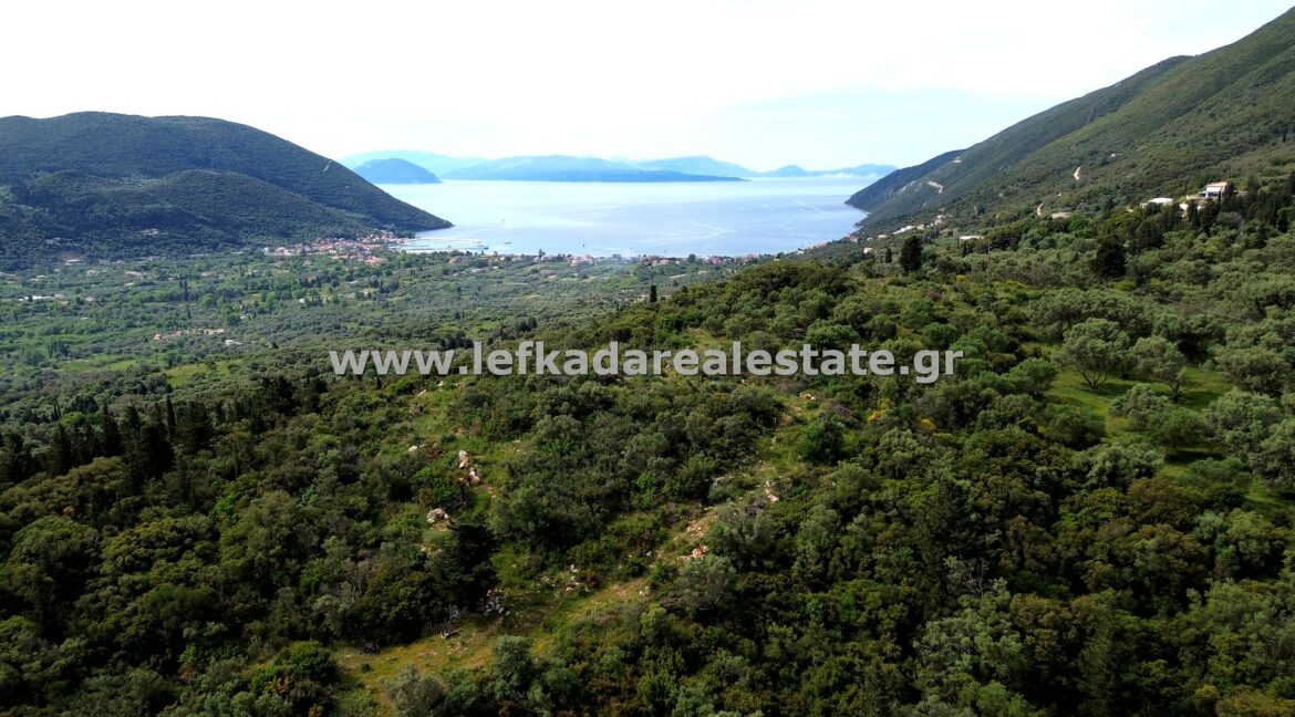 DCIM100MEDIADJI_0580.JPG