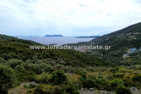 DCIM100MEDIADJI_0644.JPG