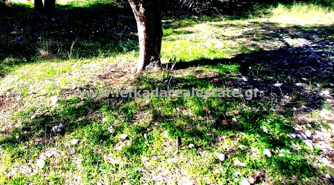 httpslefkadarealestate.gr (2)