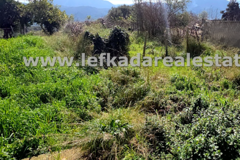 httpslefkadarealestate.gr (6)