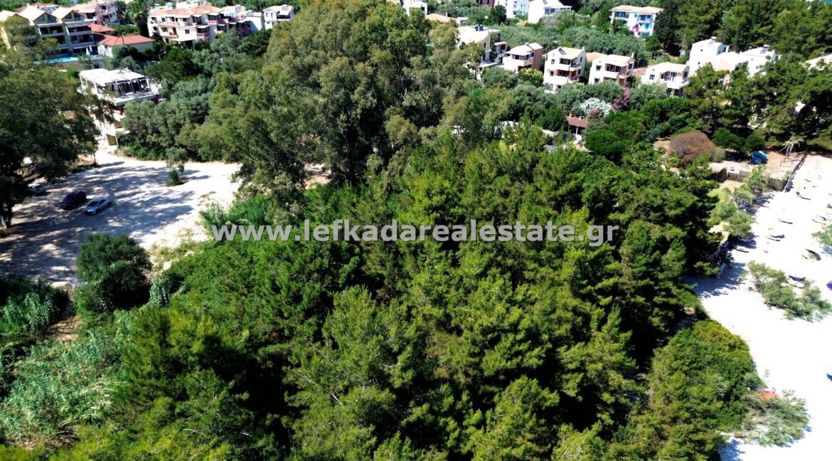 DCIM101MEDIADJI_0327.JPG