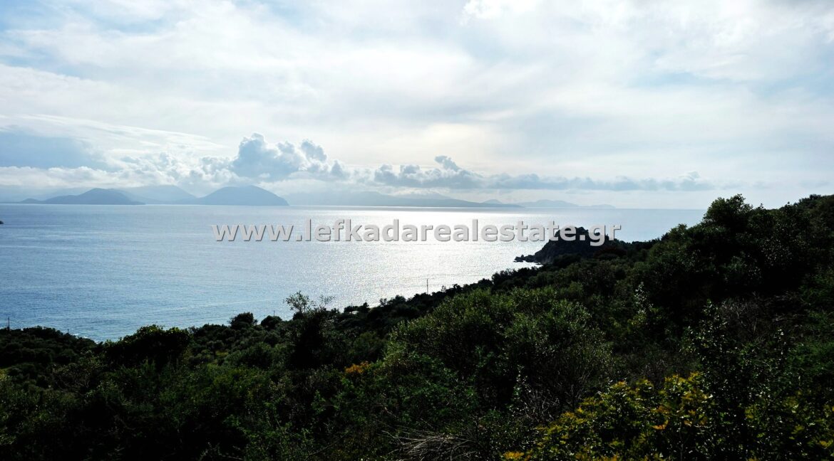 20260123_135410