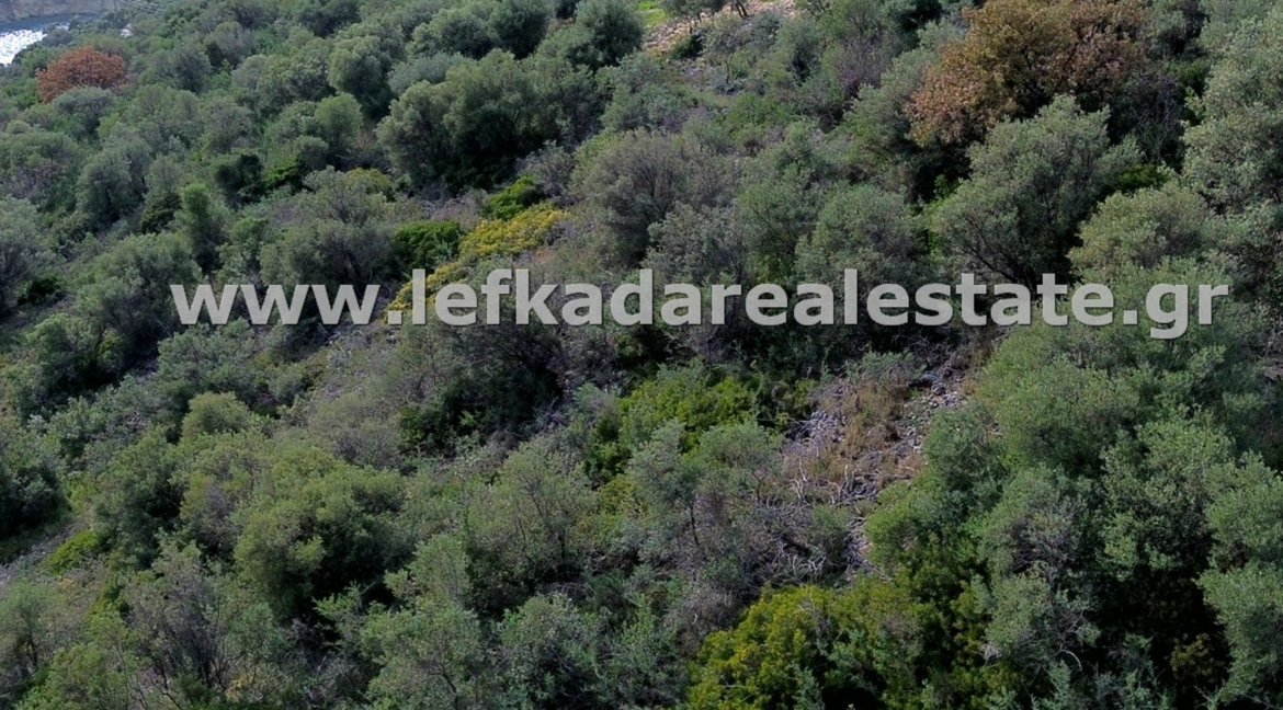 httpslefkadarealestate.gr (3)