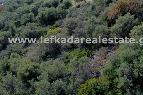 httpslefkadarealestate.gr (3)