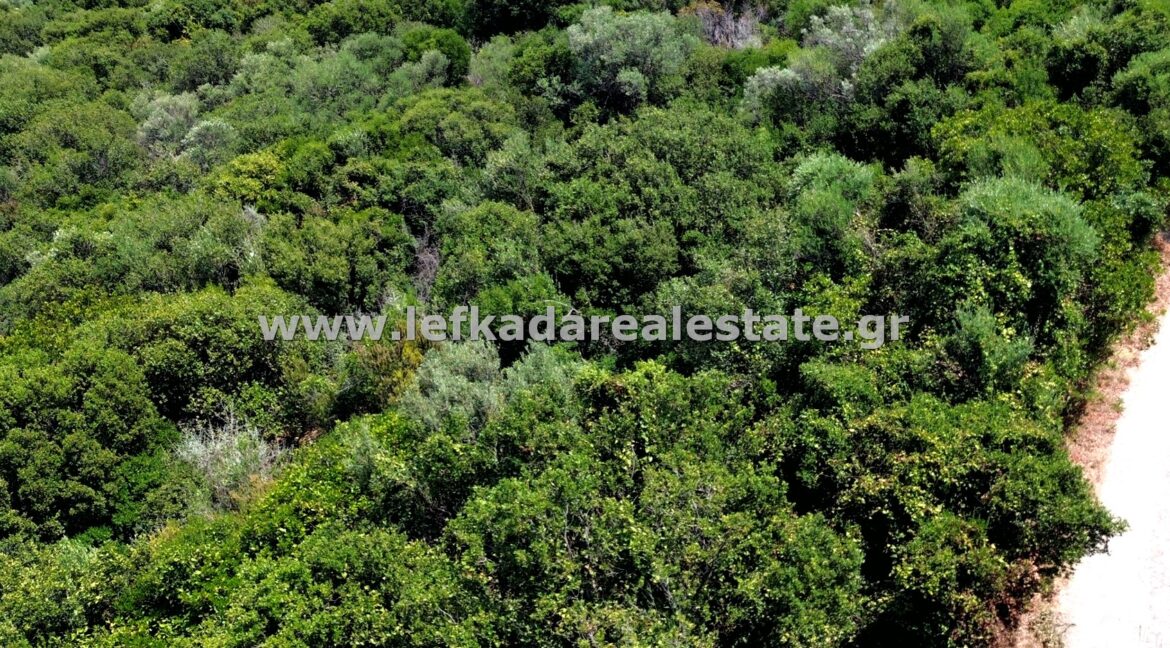 httpslefkadarealestate.gr (6)