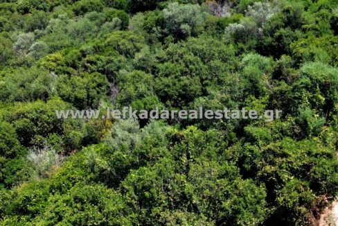 httpslefkadarealestate.gr (6)