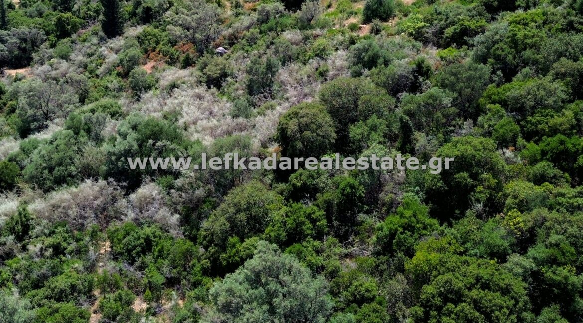 httpslefkadarealestate.gr (8)