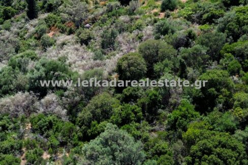 httpslefkadarealestate.gr (8)