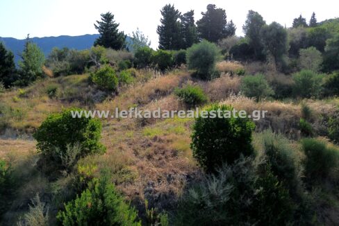 DCIM100MEDIADJI_0928.JPG
