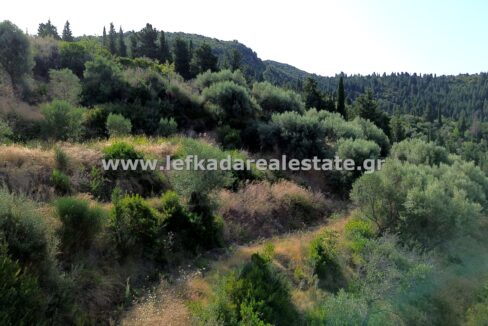 DCIM100MEDIADJI_0930.JPG
