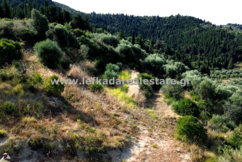 DCIM100MEDIADJI_0960.JPG
